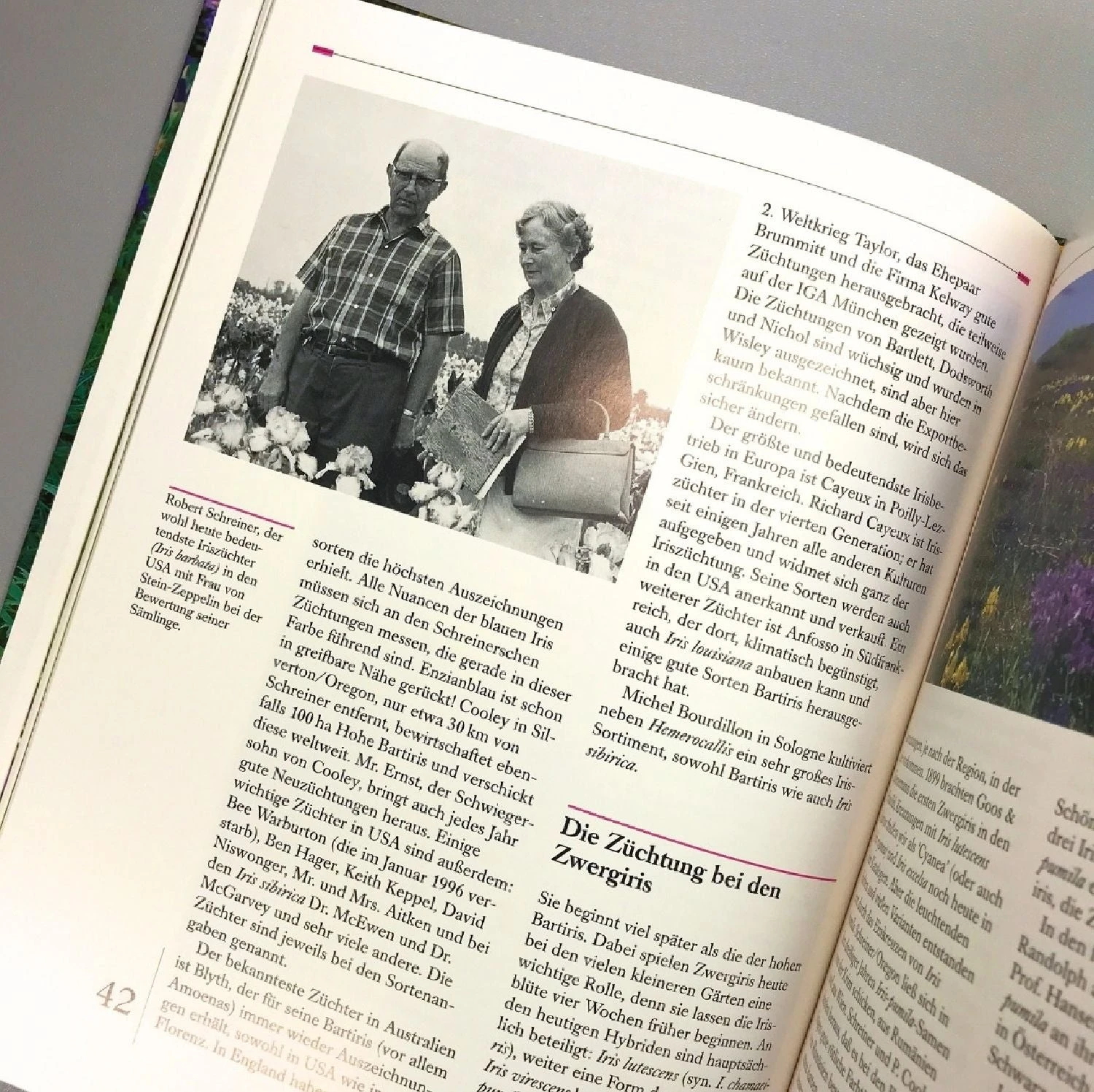 Iris - Die Besten Arten Und Sorten (Susanne Weber) – Bild 3