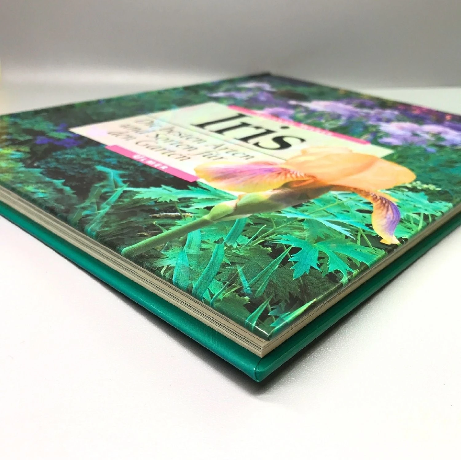 Iris - Die Besten Arten Und Sorten (Susanne Weber) – Bild 4