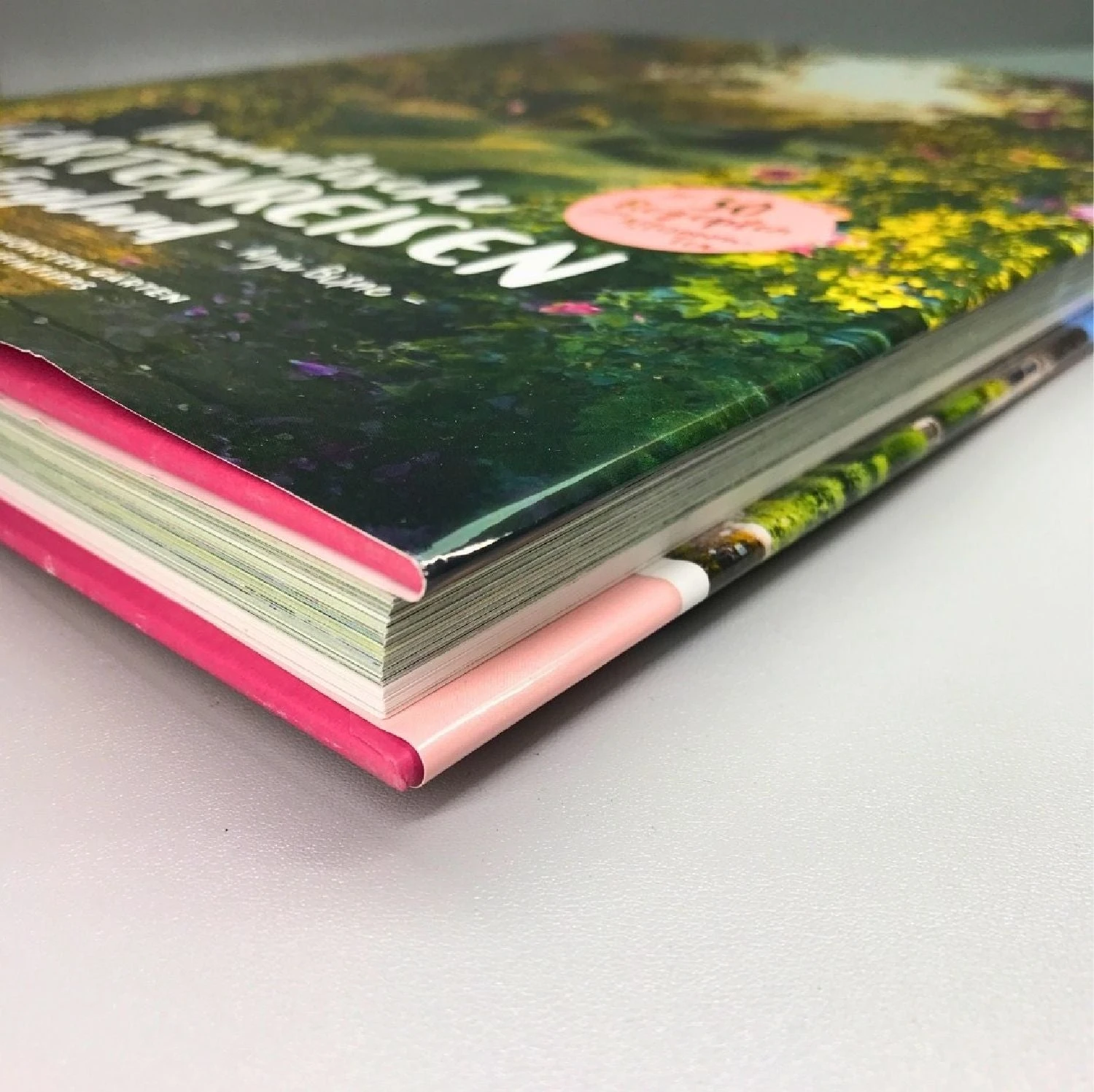 Romantische Gartenreisen In England (Anja Birne) – Bild 3