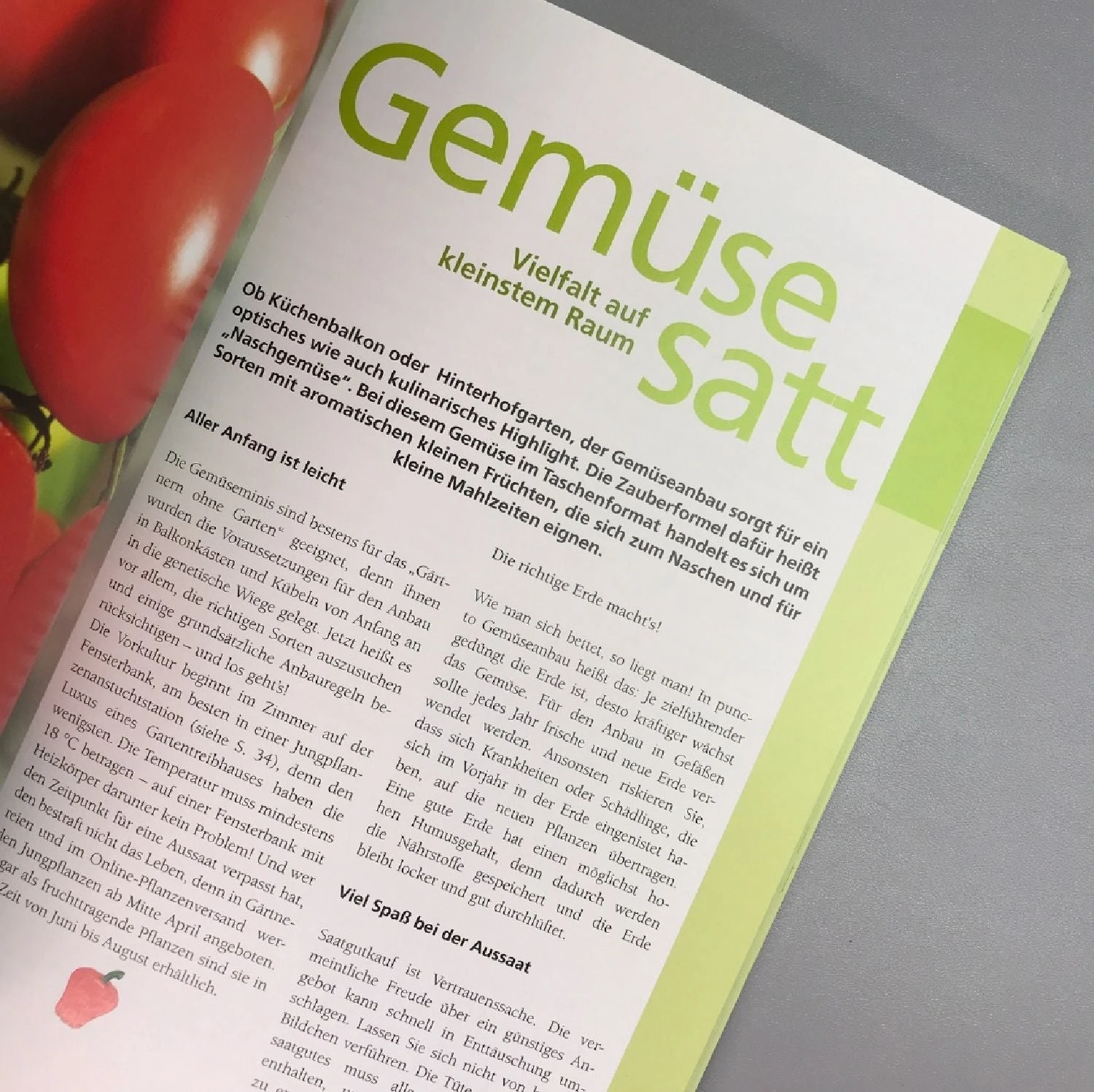 City-Gardening (Erfolgreich Gärtnern Ohne Garten) – Bild 4