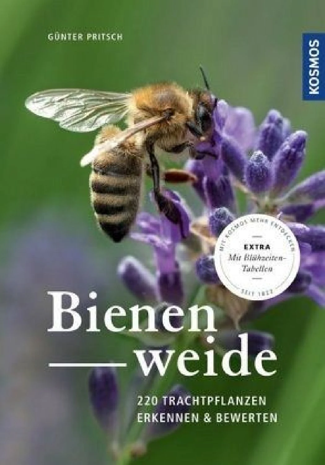 Bienenweide (Günter Pritsch)