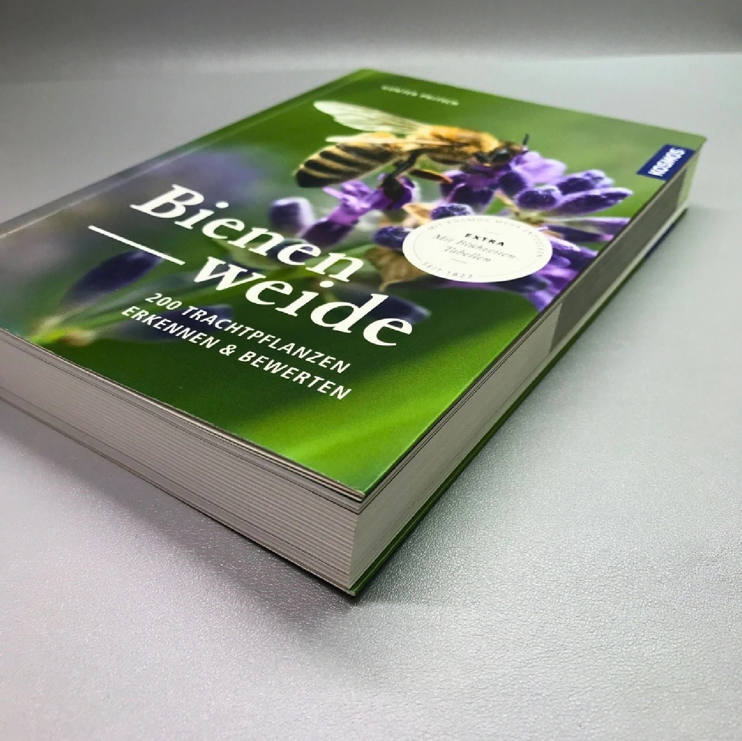 Bienenweide (Günter Pritsch) – Bild 3