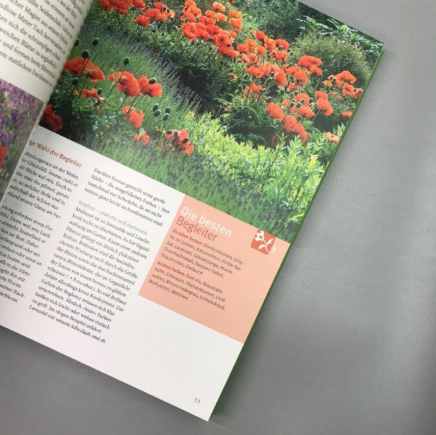 Ganzjährig Attraktive Beete (Ute Bauer) – Bild 4