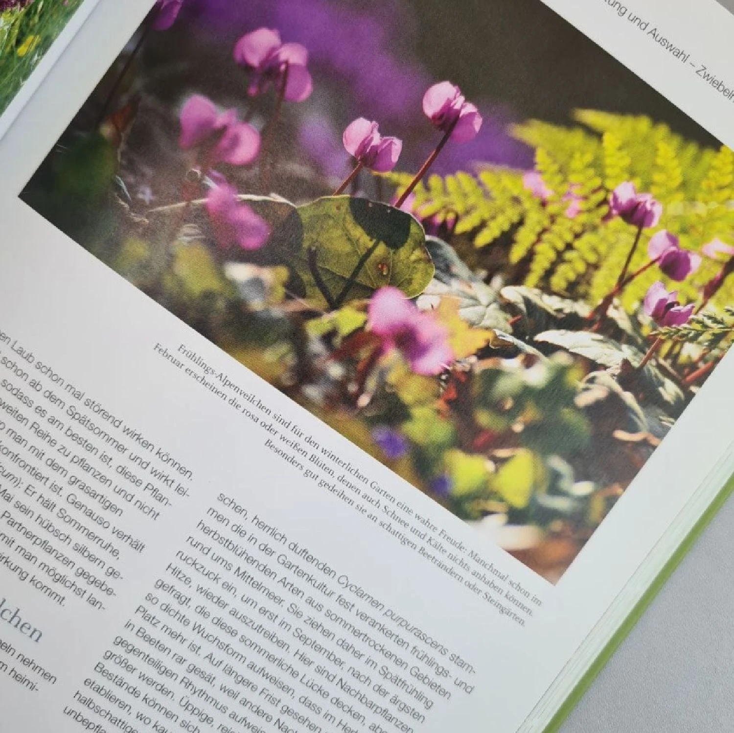 Blütenreich (Katrin Lugerbauer) – Bild 8