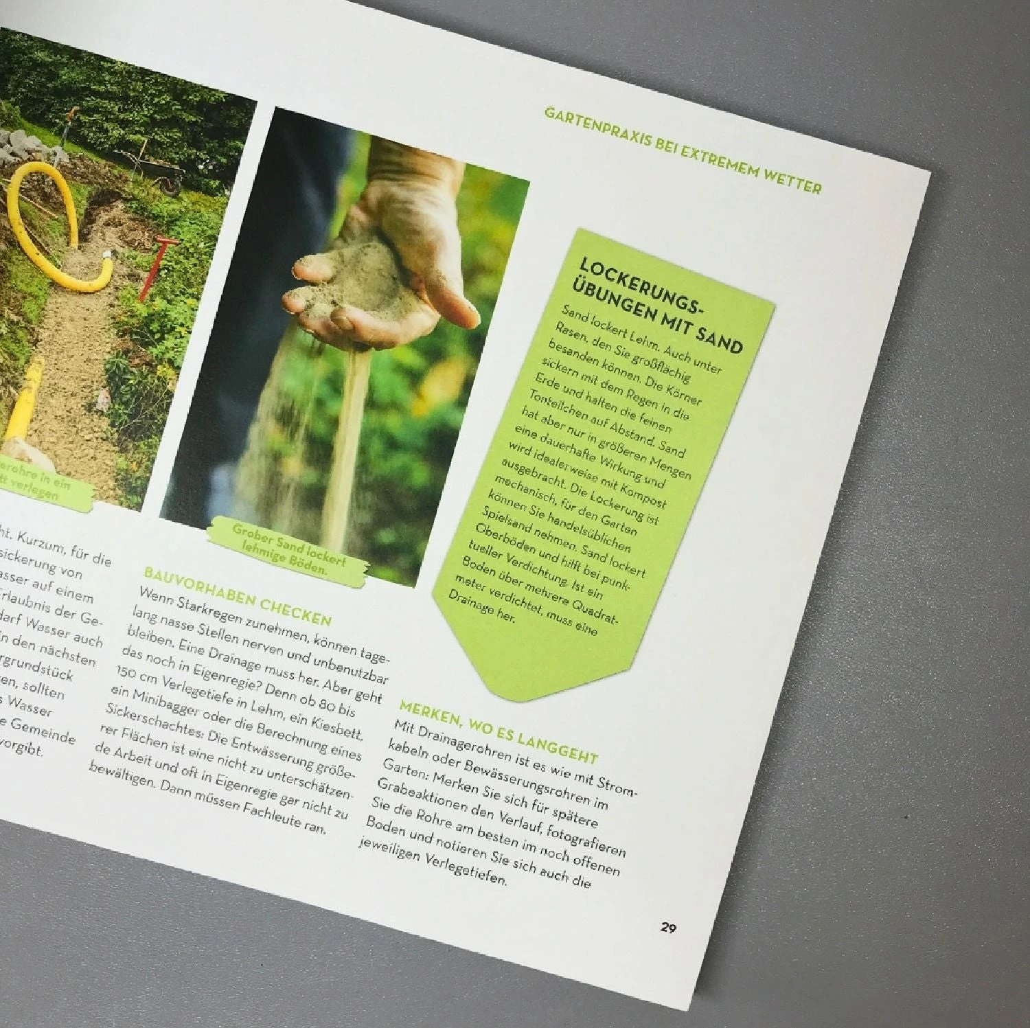 Nur Die Harten Bleiben Im Garten! (Thomas Hess) – Bild 3