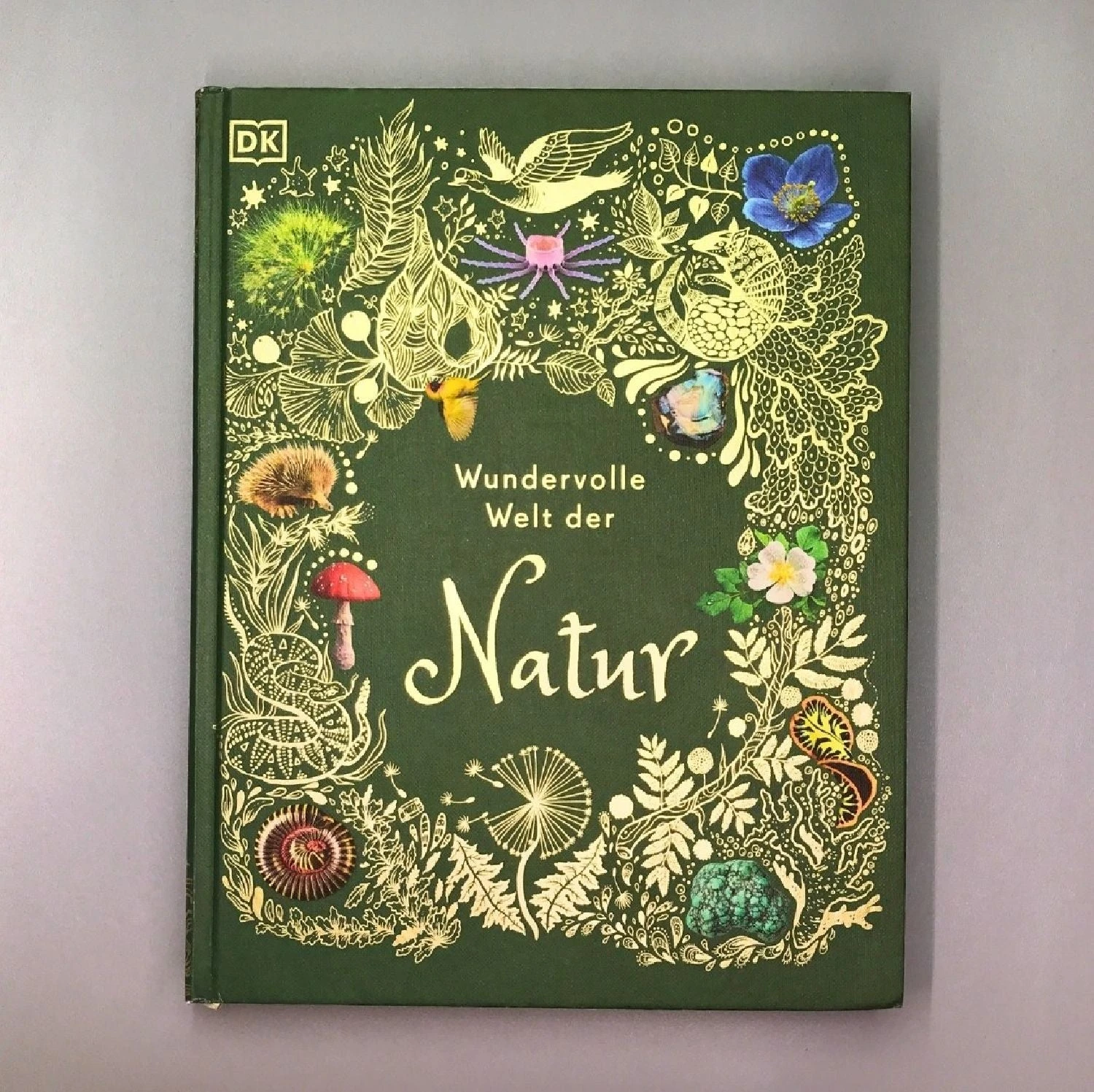 Wundervolle Welt Der Natur (Ben Hoare)