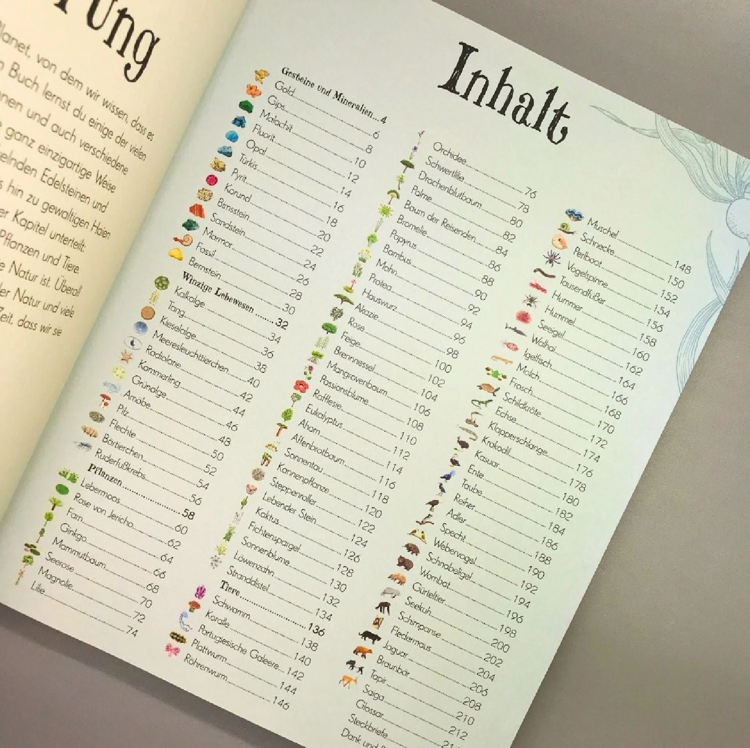 Wundervolle Welt Der Natur (Ben Hoare) – Bild 2