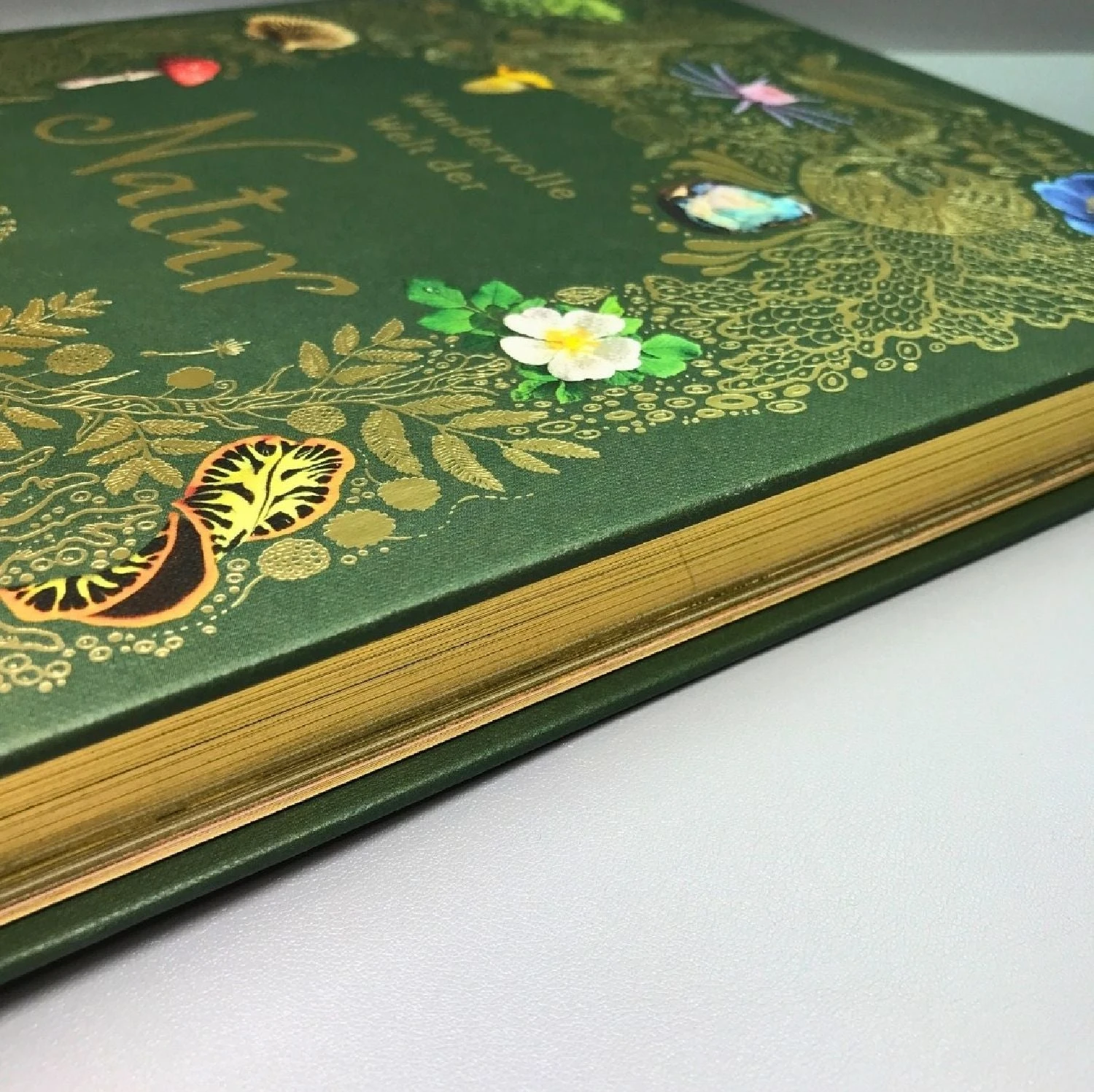 Wundervolle Welt Der Natur (Ben Hoare) – Bild 3