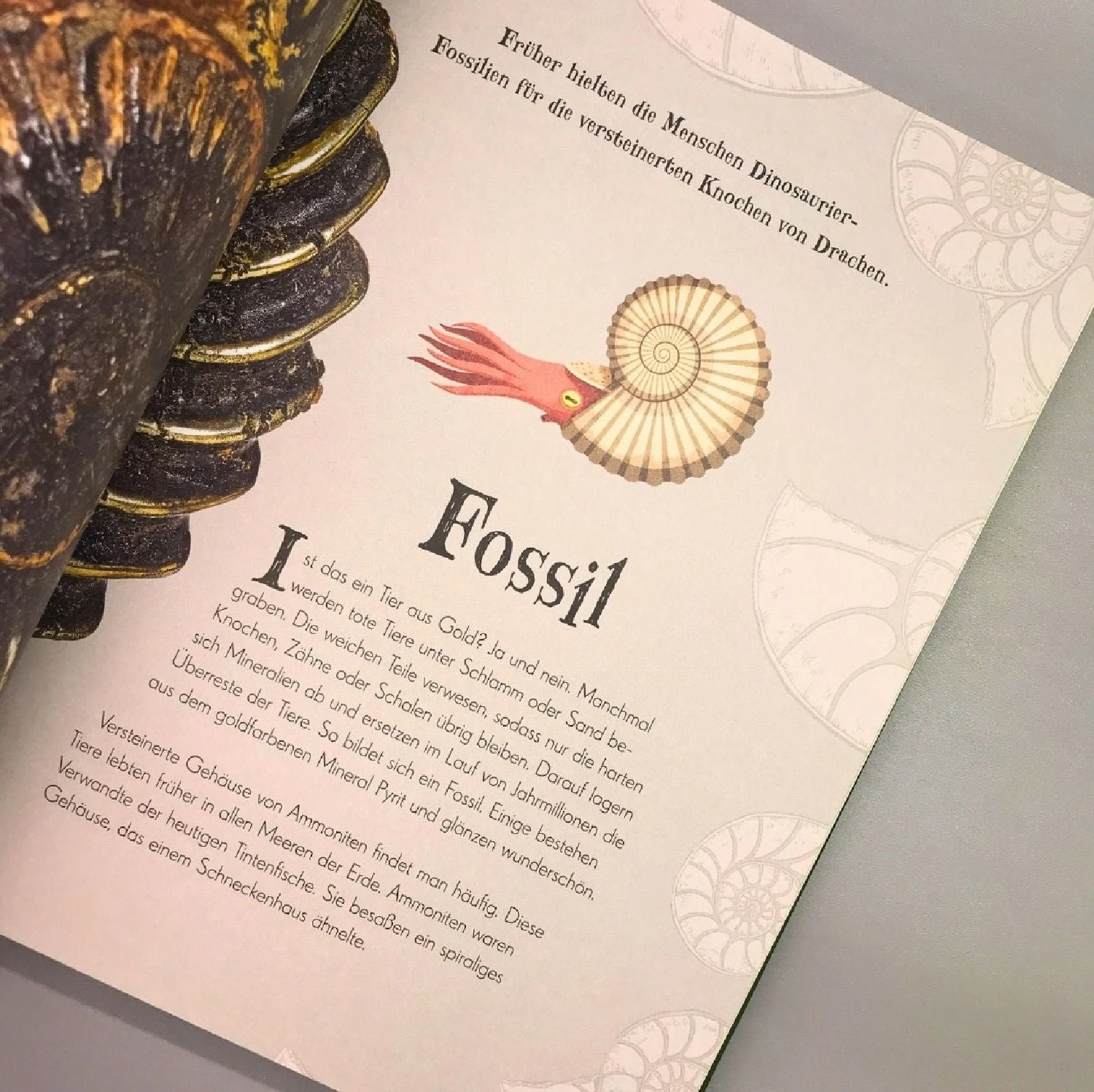 Wundervolle Welt Der Natur (Ben Hoare) – Bild 4