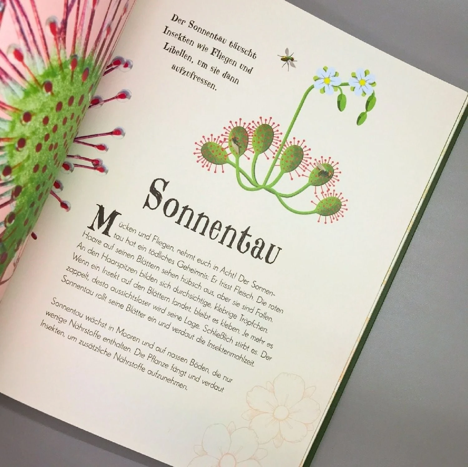 Wundervolle Welt Der Natur (Ben Hoare) – Bild 6