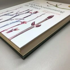 Gehölzbestimmung Im Winter (Bernd Schulz)