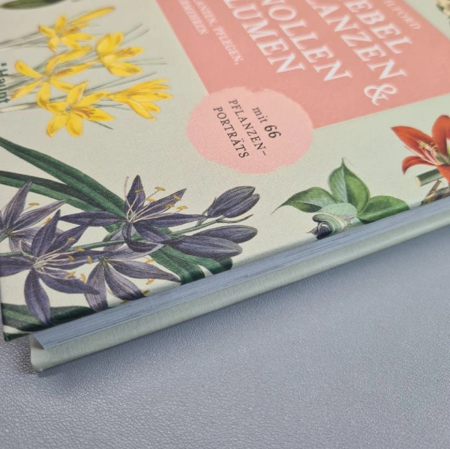 Zwiebelpflanzen Und Knollenblumen (Richard Wilford) – Bild 2