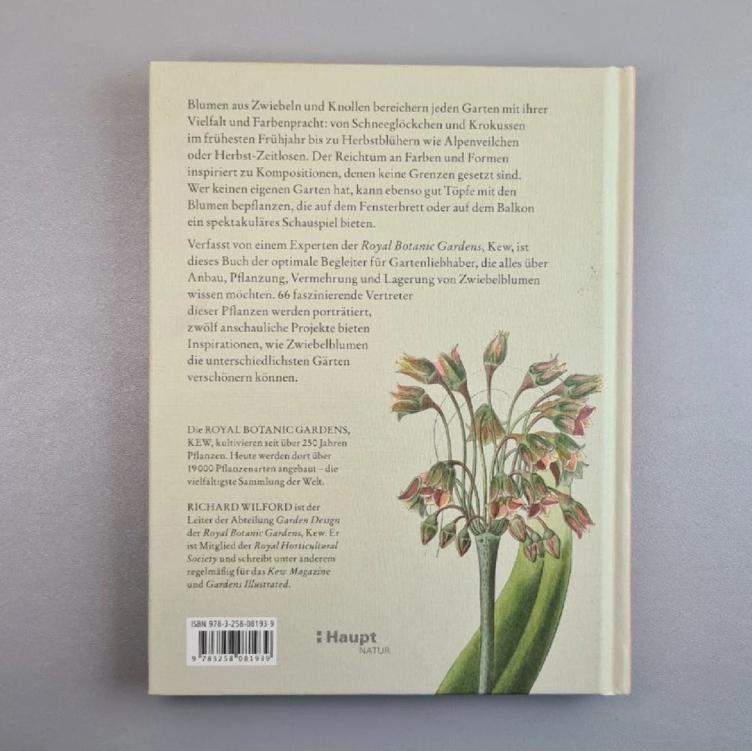 Zwiebelpflanzen Und Knollenblumen (Richard Wilford) – Bild 3