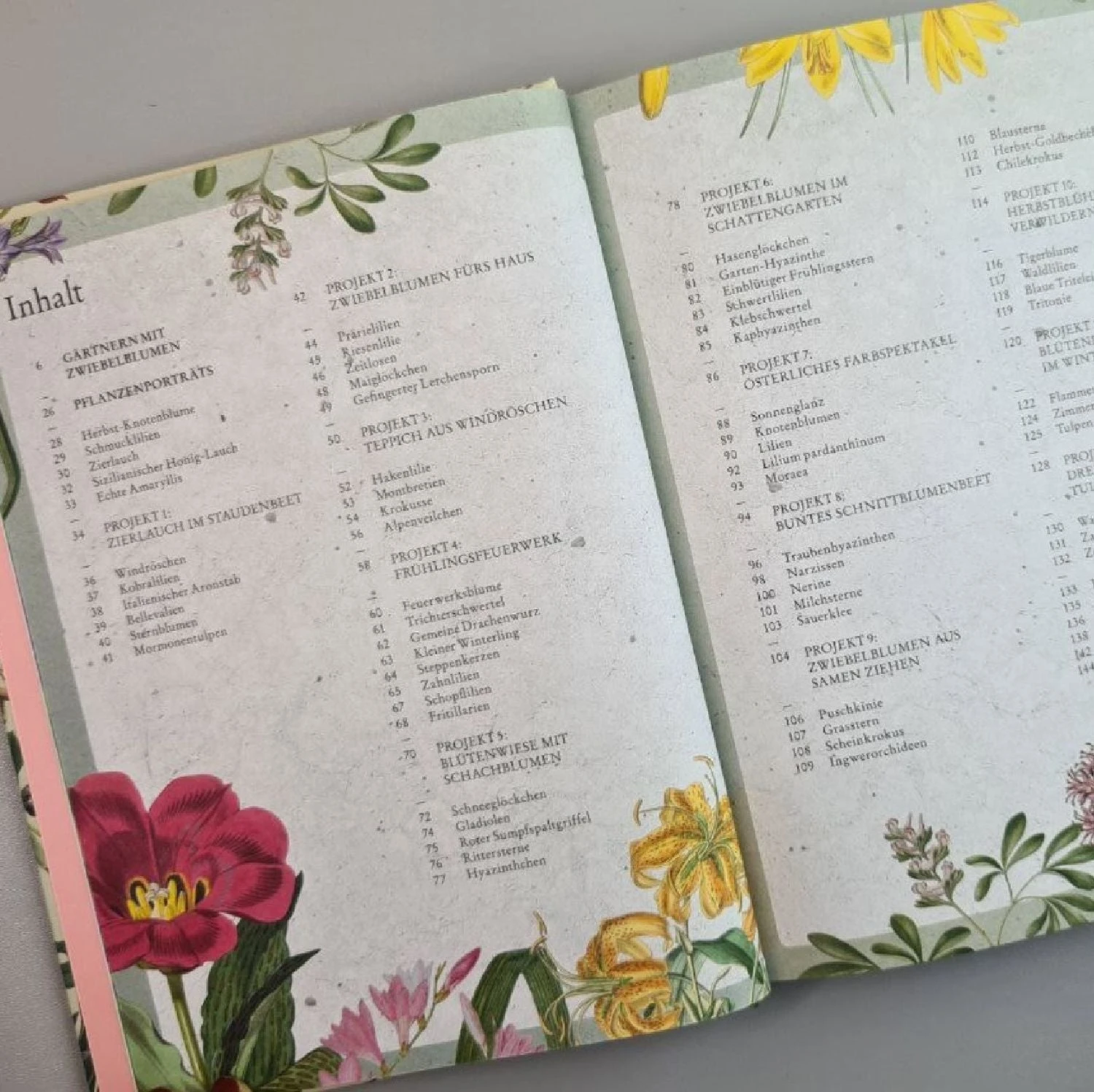 Zwiebelpflanzen Und Knollenblumen (Richard Wilford) – Bild 4