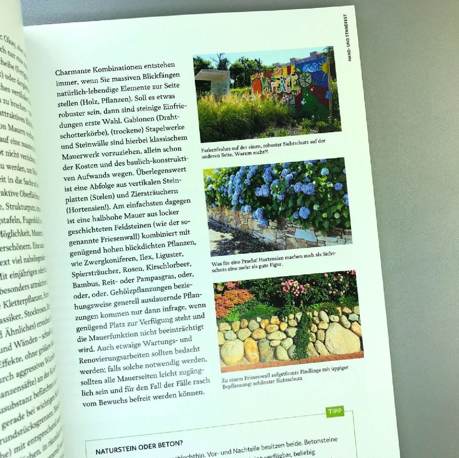 Schöner Sichtschutz Selbst Gemacht (Lars Weigelt) – Bild 4