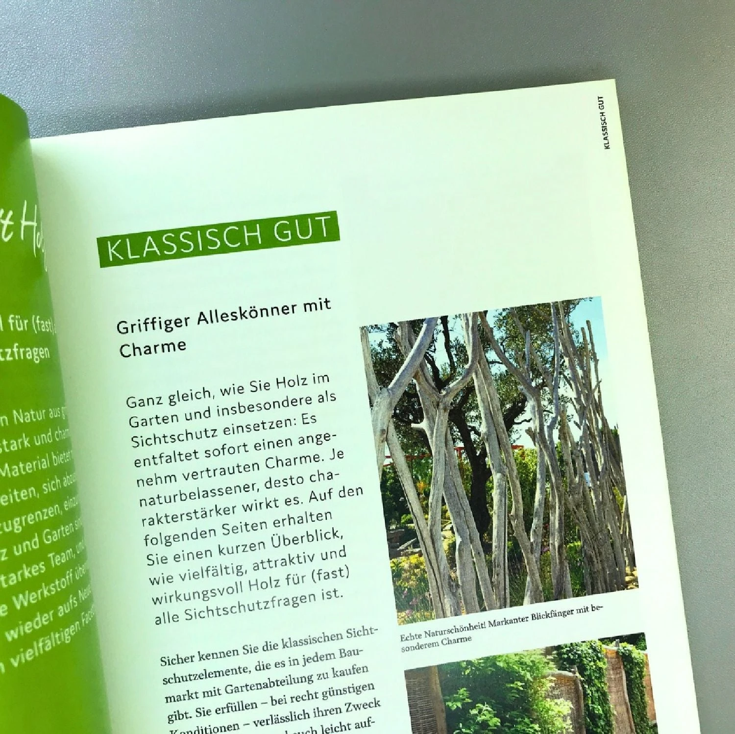 Schöner Sichtschutz Selbst Gemacht (Lars Weigelt) – Bild 5