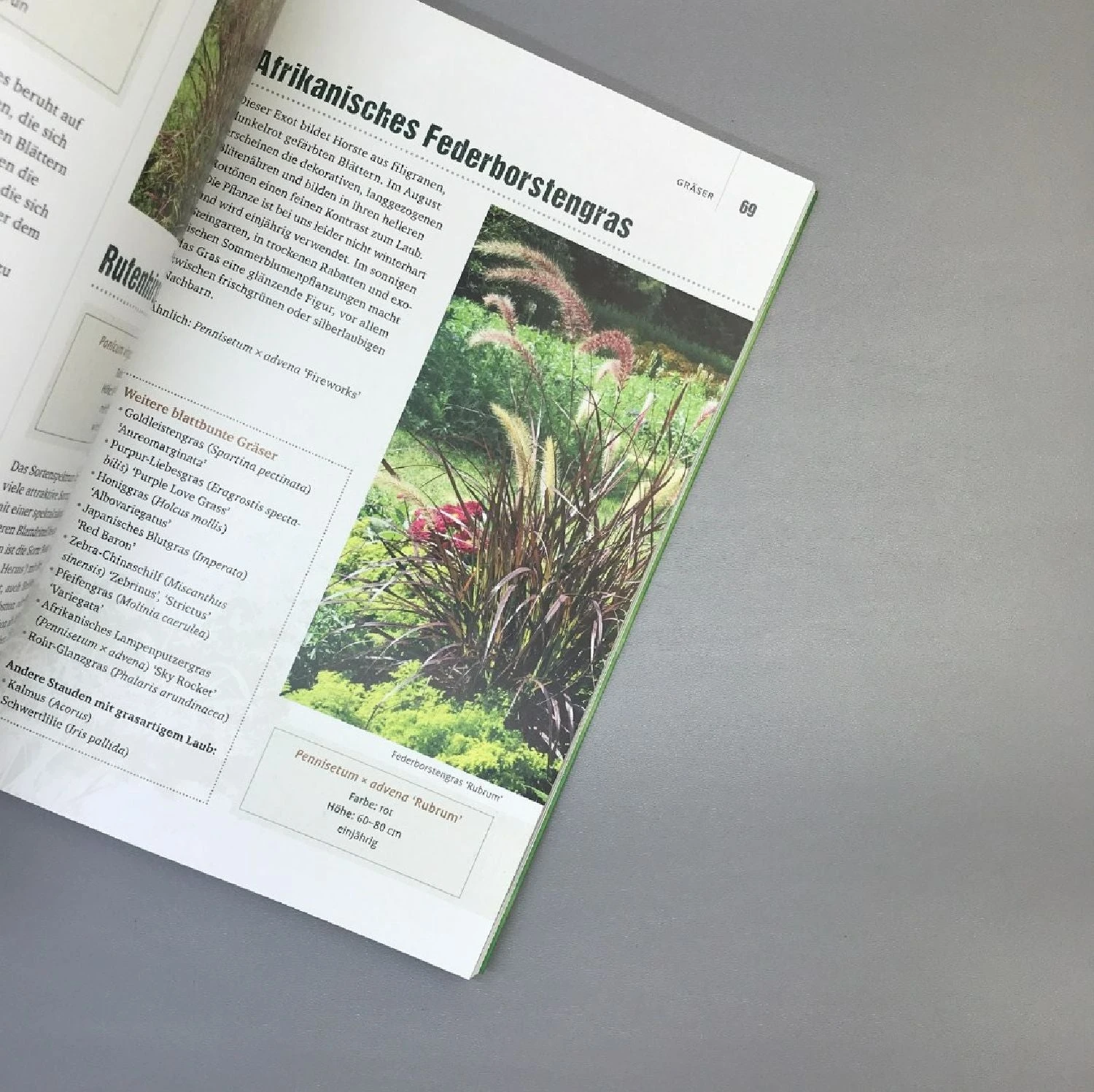 Blattschönheiten (Robert Sulzberger & Tobias Mayerhofer) – Bild 5