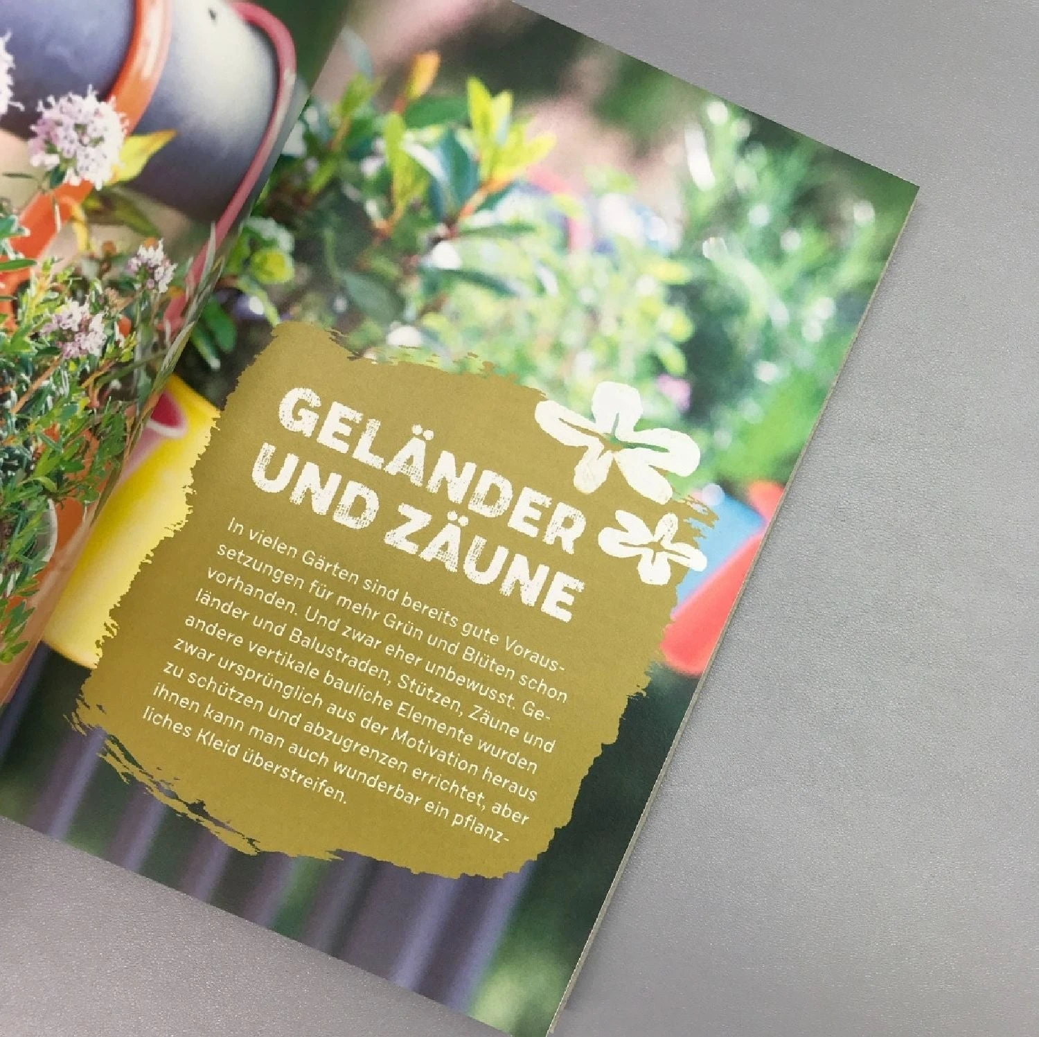 Begrünen Was Geht (Wolfgang Heidenreich) – Bild 4