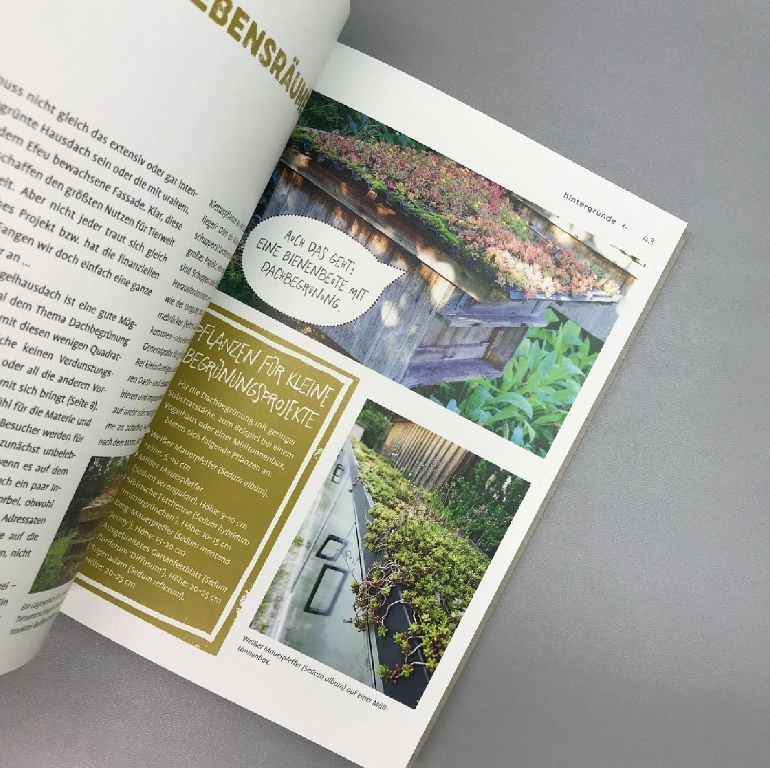 Begrünen Was Geht (Wolfgang Heidenreich) – Bild 5