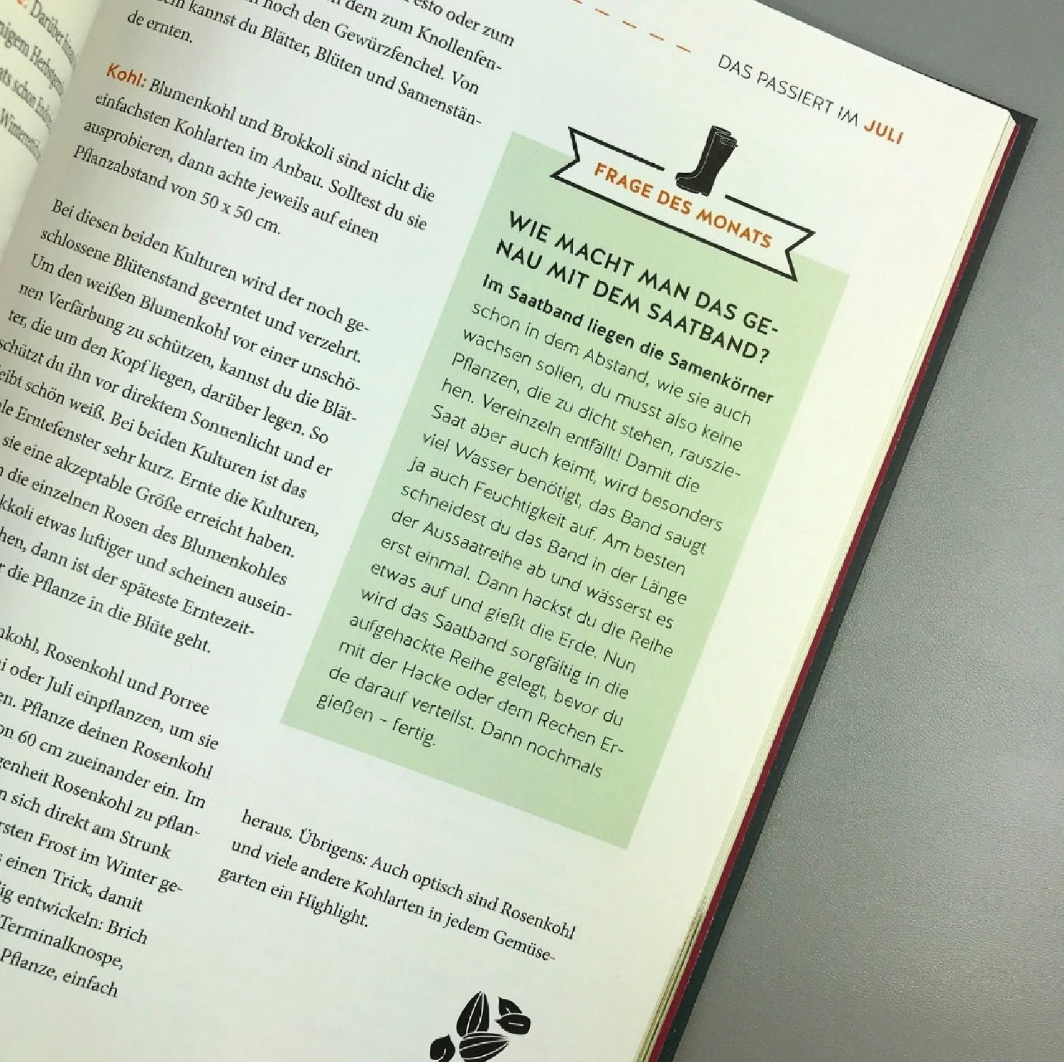 Gemüse Für Alle! (Kirchbaumer, Ganders, Remmel) – Bild 2