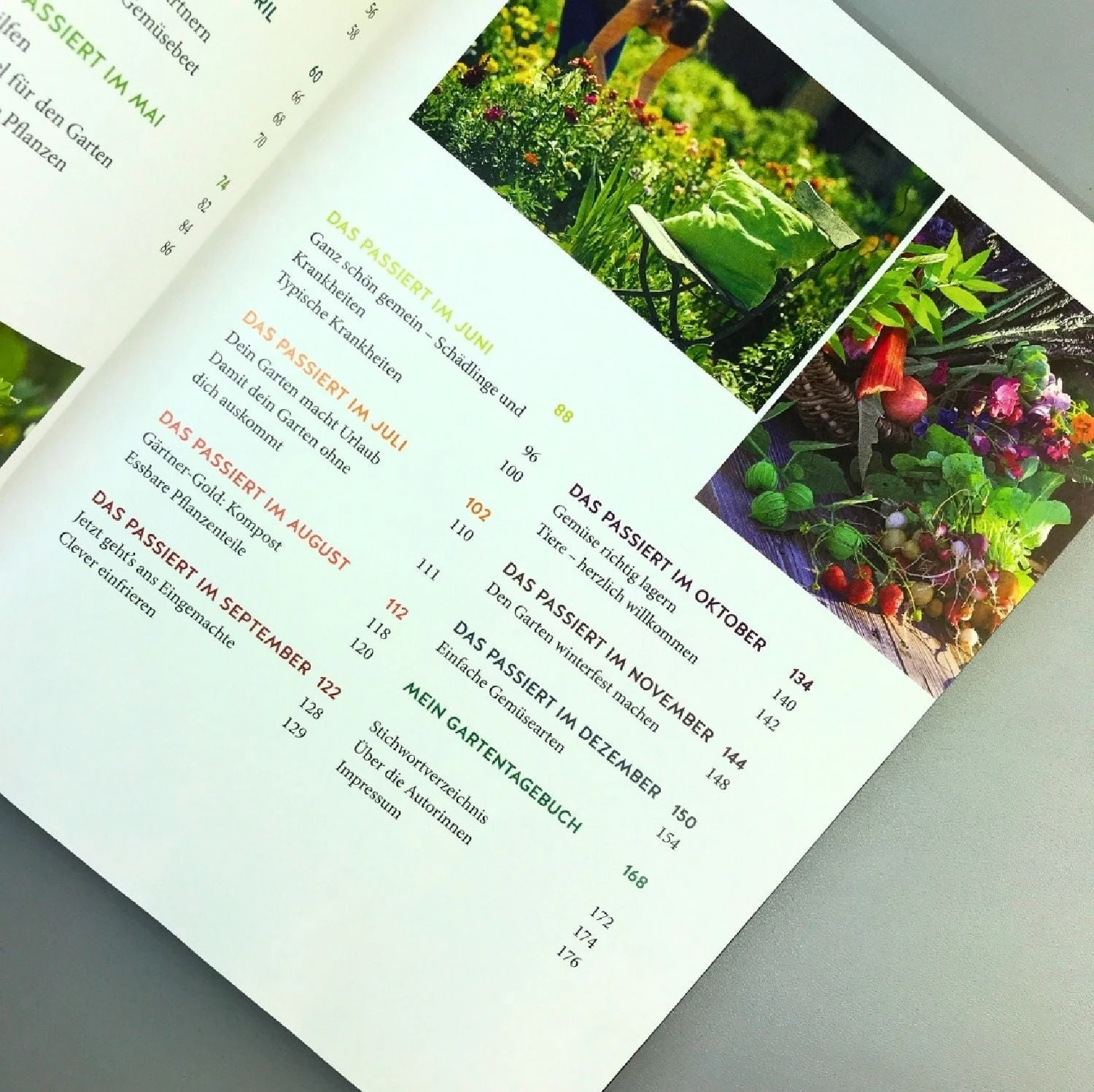 Gemüse Für Alle! (Kirchbaumer, Ganders, Remmel) – Bild 3