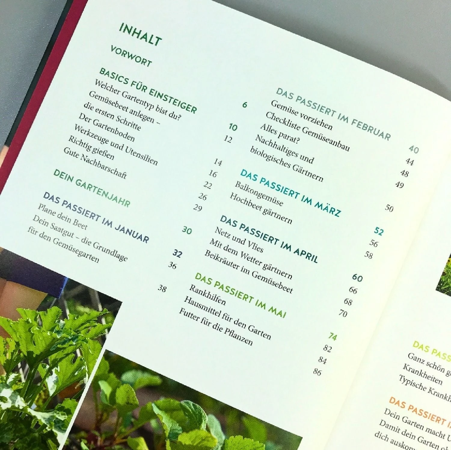 Gemüse Für Alle! (Kirchbaumer, Ganders, Remmel) – Bild 4