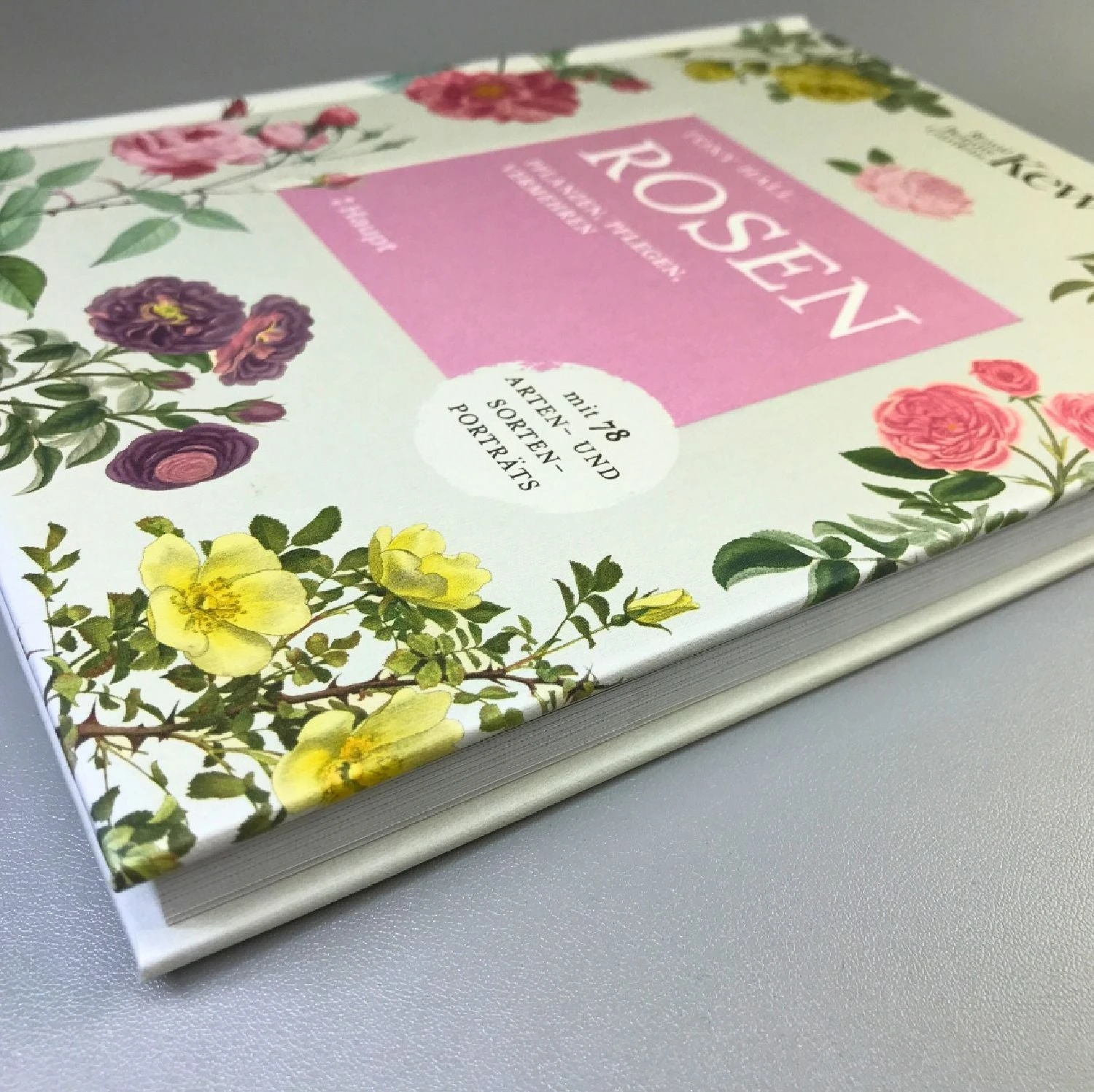 ROSEN | PFLANZEN, PFLEGEN, VERMEHREN (Tony Hall) – Bild 2