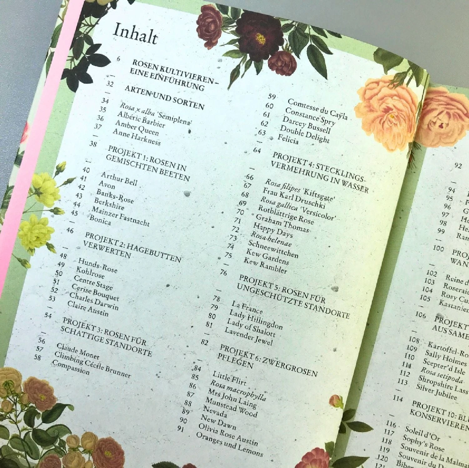 ROSEN | PFLANZEN, PFLEGEN, VERMEHREN (Tony Hall) – Bild 3