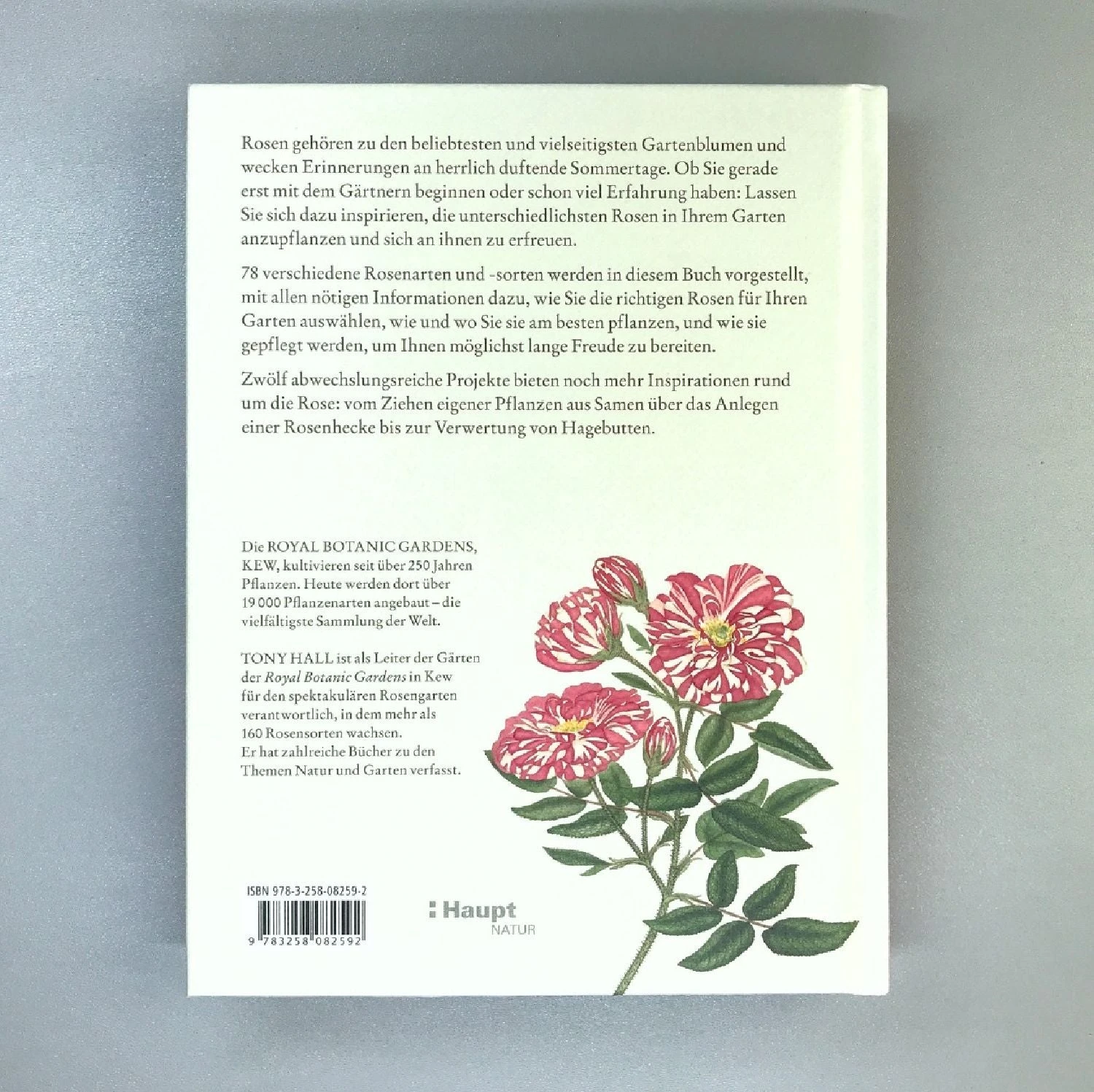 ROSEN | PFLANZEN, PFLEGEN, VERMEHREN (Tony Hall) – Bild 7