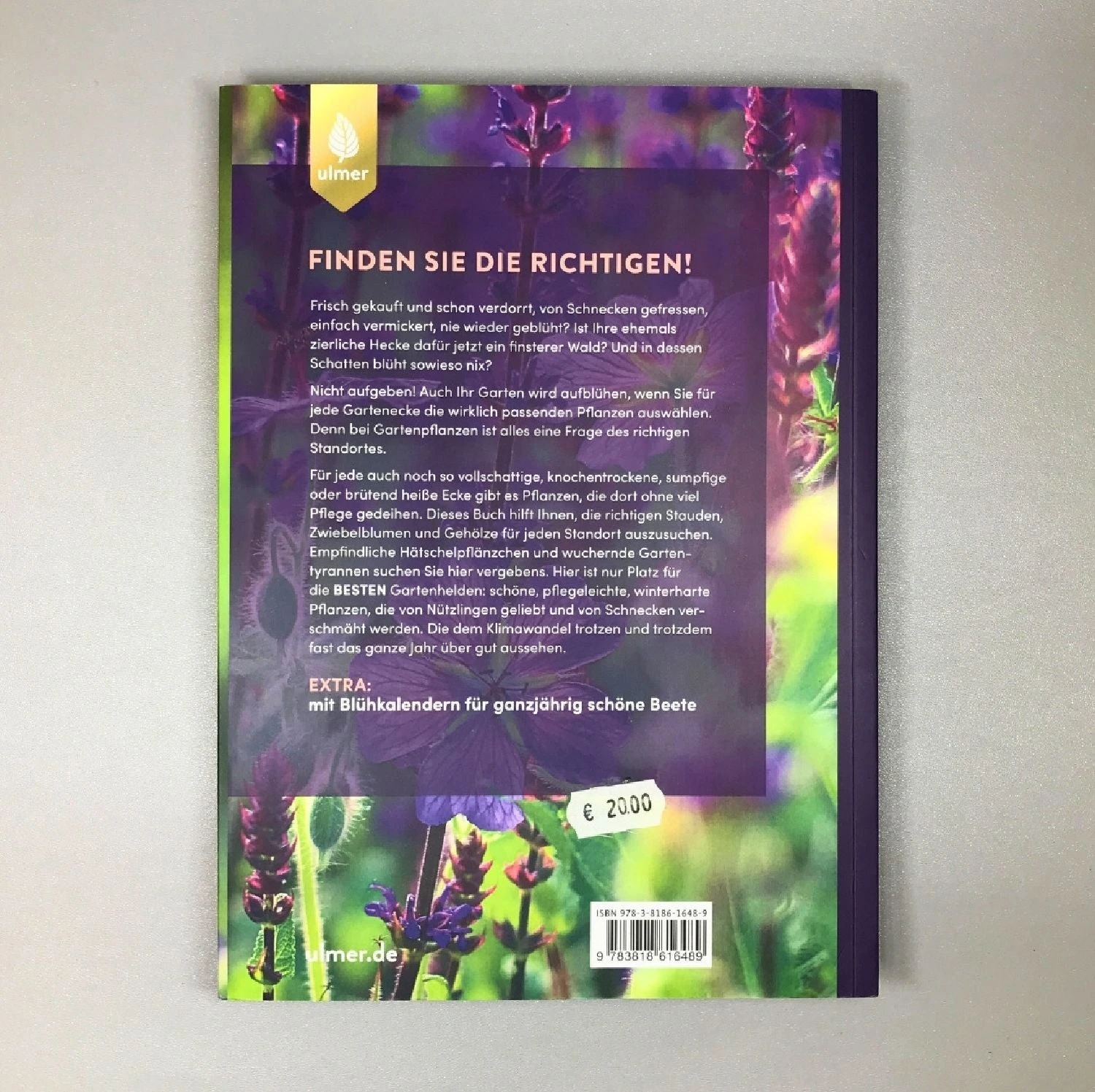 Die 150 Besten Pflanzen (für Jede Gartenecken) – Bild 6