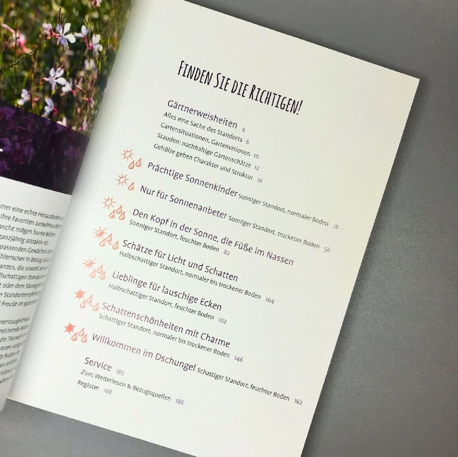 Die 150 Besten Pflanzen (für Jede Gartenecken) – Bild 9