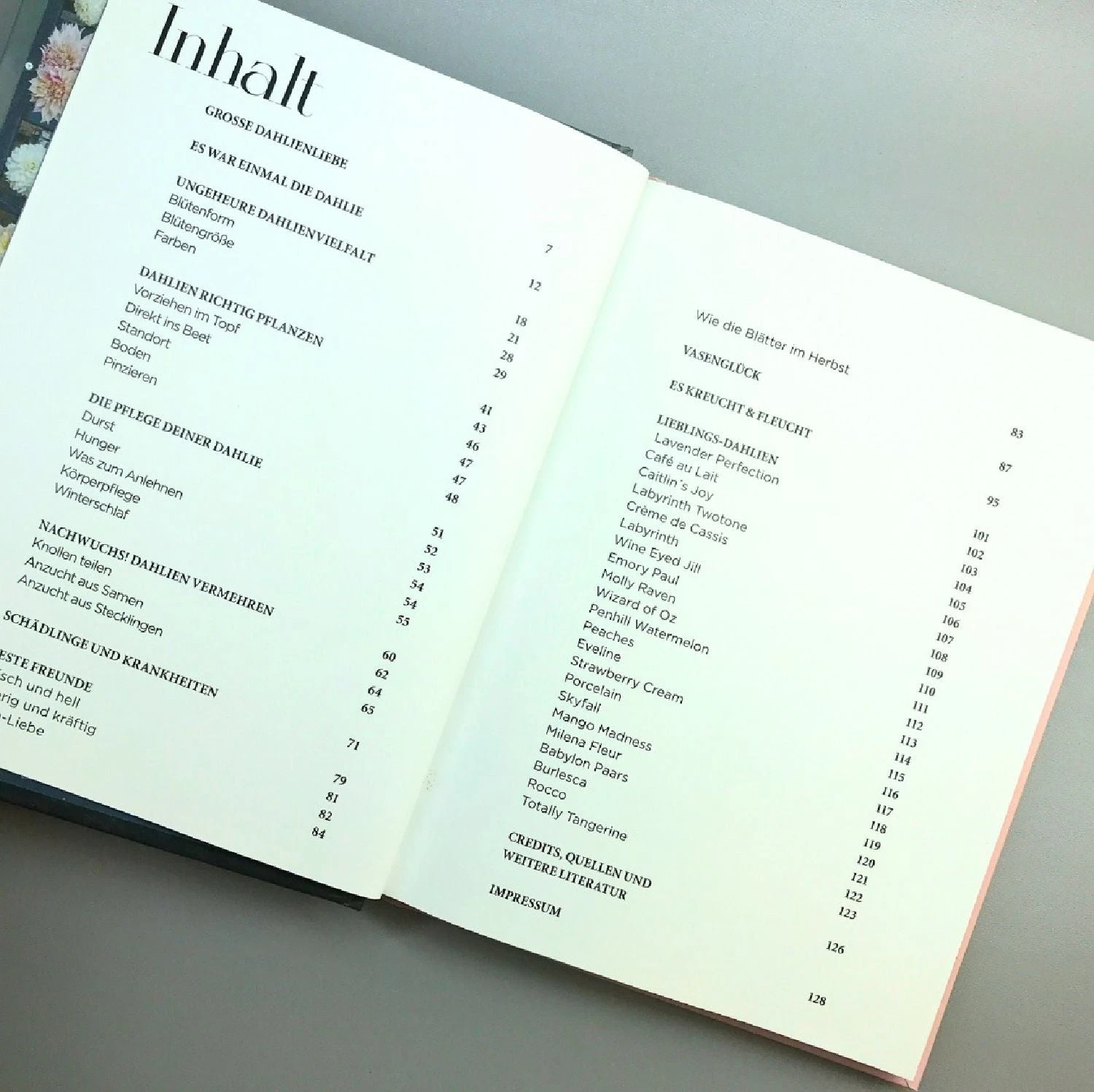 Dahlien Zauber (Sarah Stiller) – Bild 2