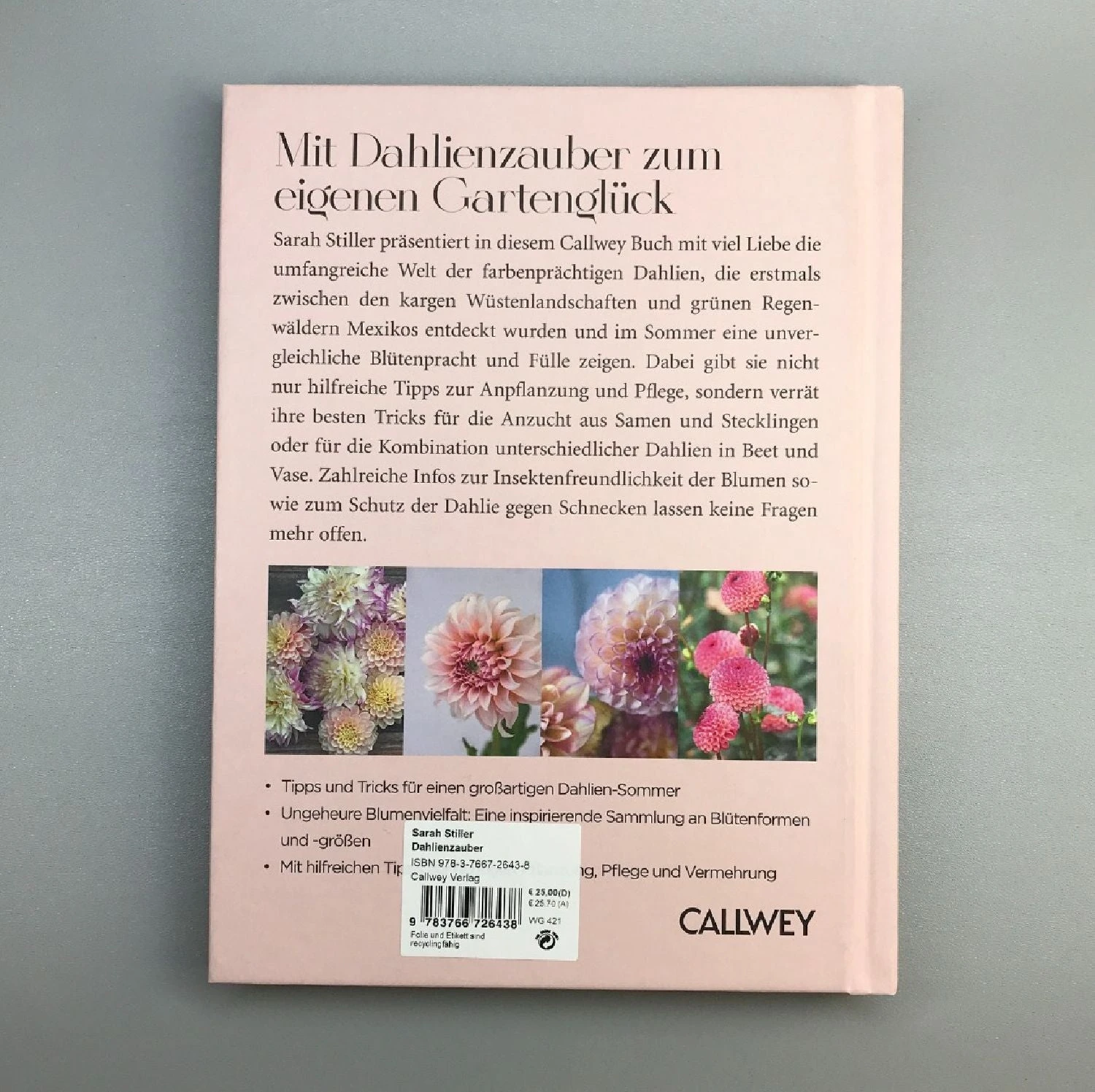 Dahlien Zauber (Sarah Stiller) – Bild 5