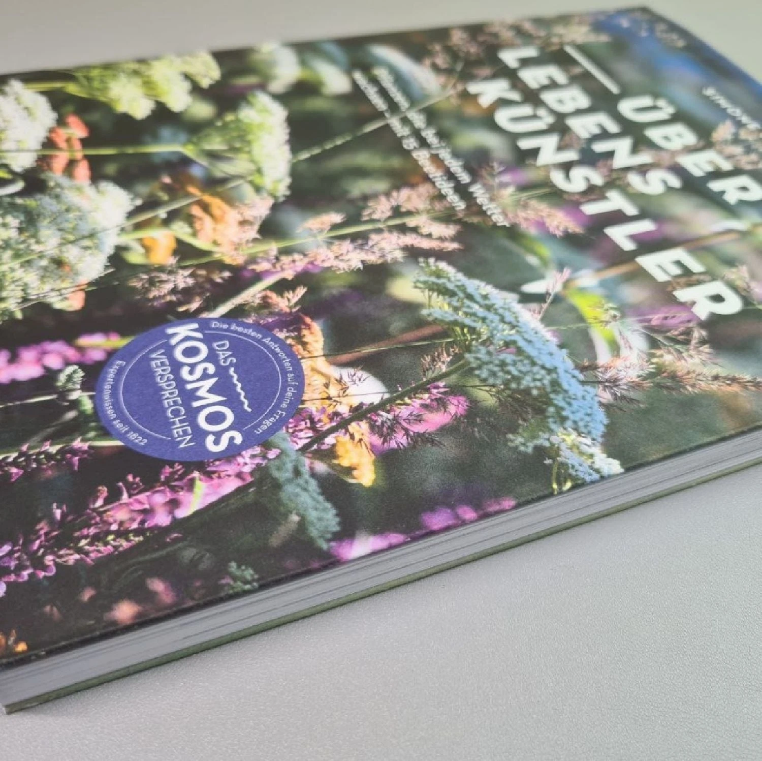 Überlebenskünstler (Simone Kern) – Bild 3