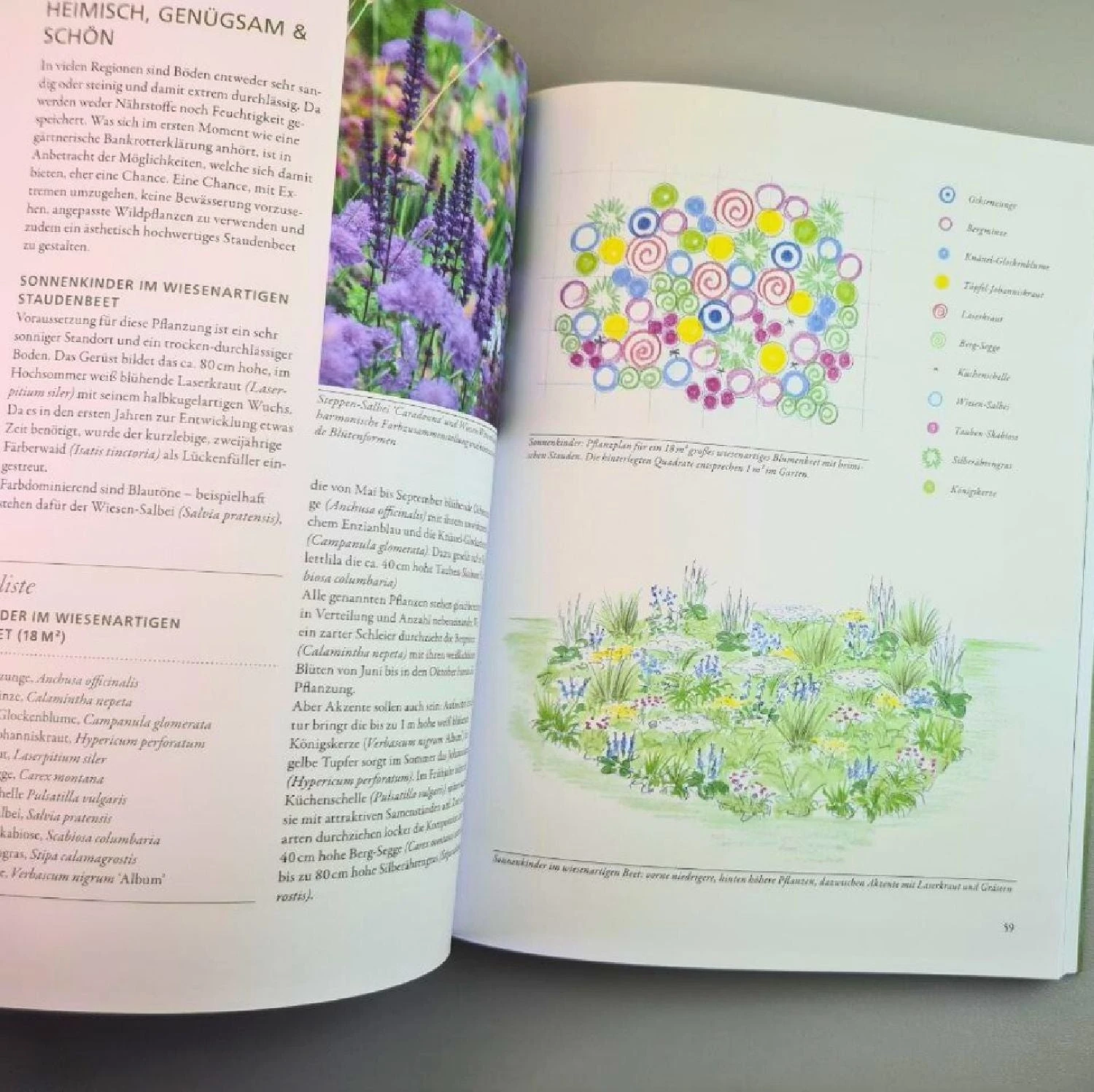 Überlebenskünstler (Simone Kern) – Bild 4