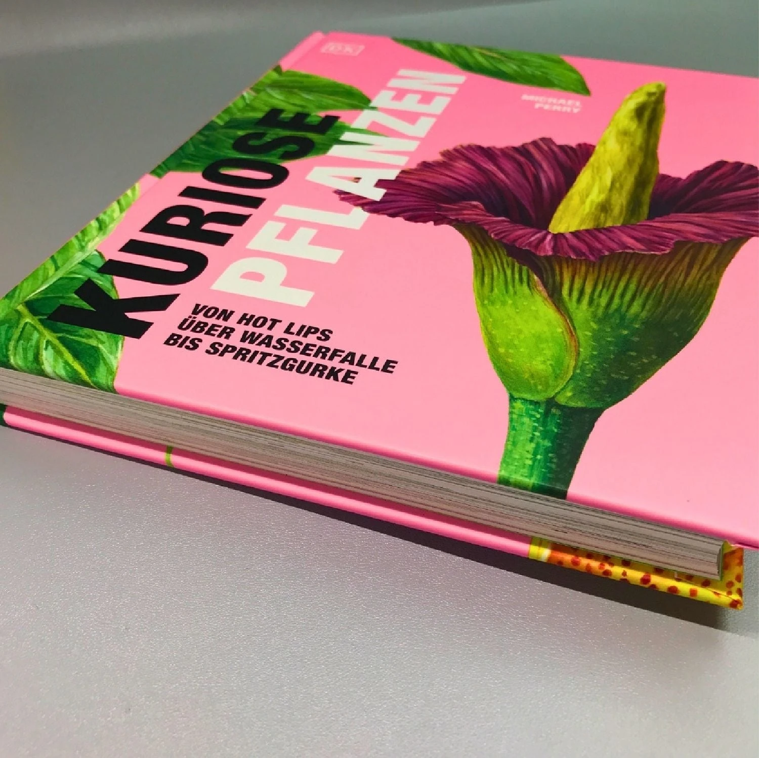 Kuriose Pflanzen (Von Hot Lips über Wasserfalle Bis Spritz) – Bild 2