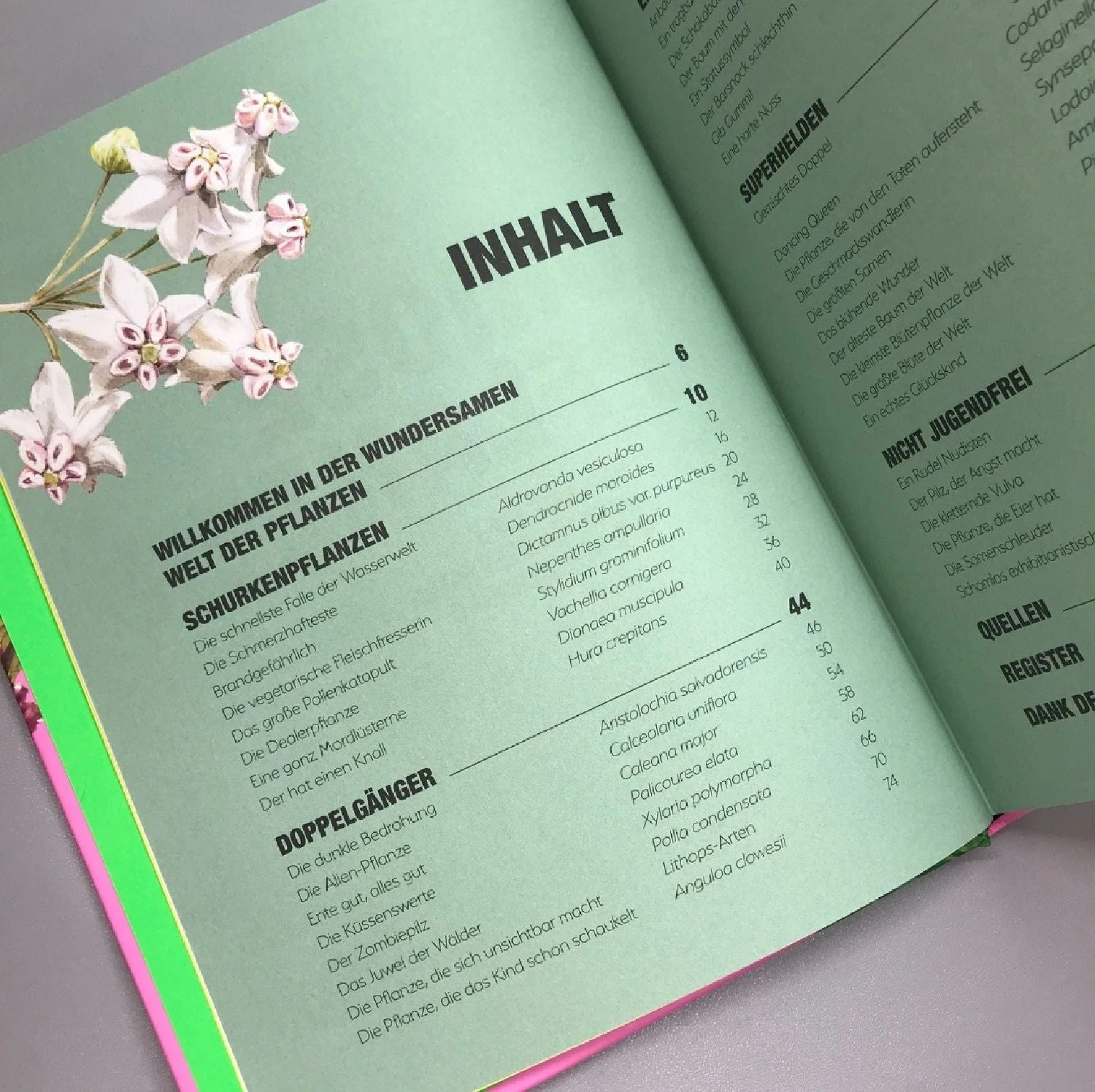 Kuriose Pflanzen (Von Hot Lips über Wasserfalle Bis Spritz) – Bild 4